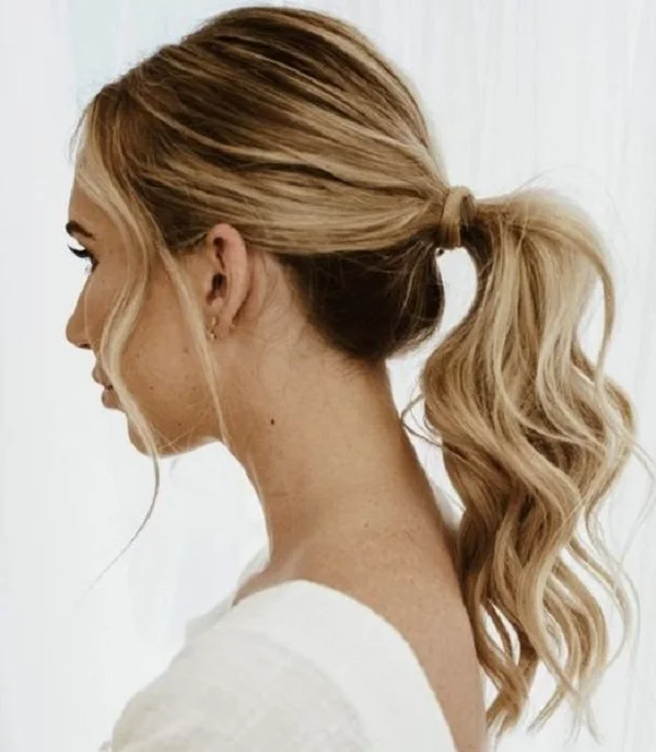 Elegancki kucyk
