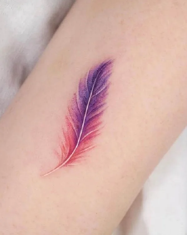 Styl color